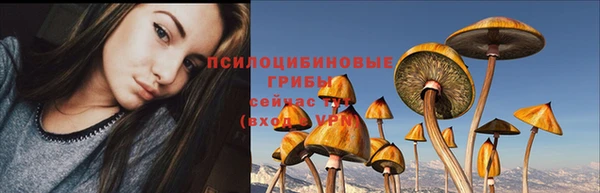 спайс Чекалин