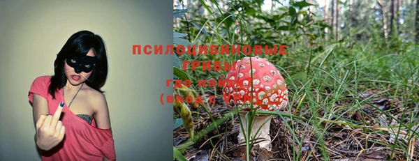 ALPHA PVP Остров