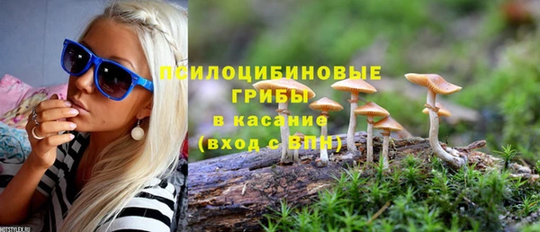 ALPHA PVP Остров