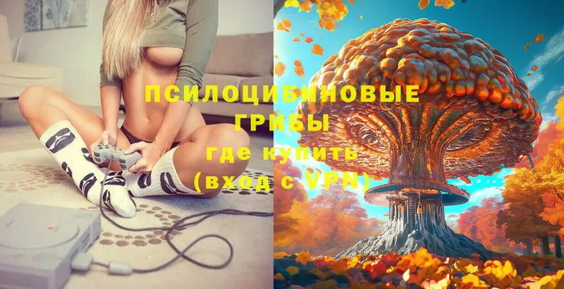 KRAKEN онион  закладка  Аркадак  Псилоцибиновые грибы MAGIC MUSHROOMS 